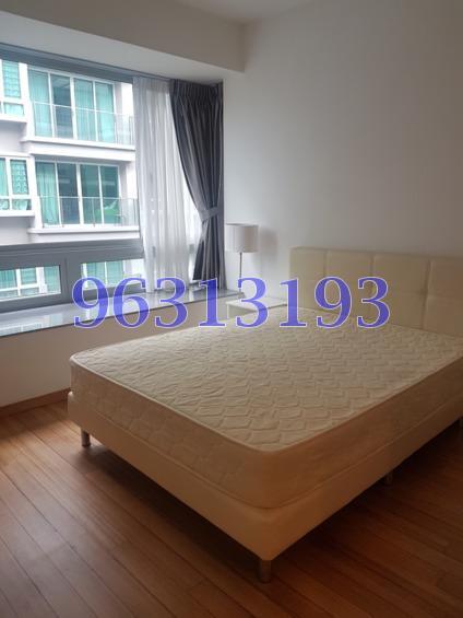 8 @ Mount Sophia (D9), Condominium #170582892
